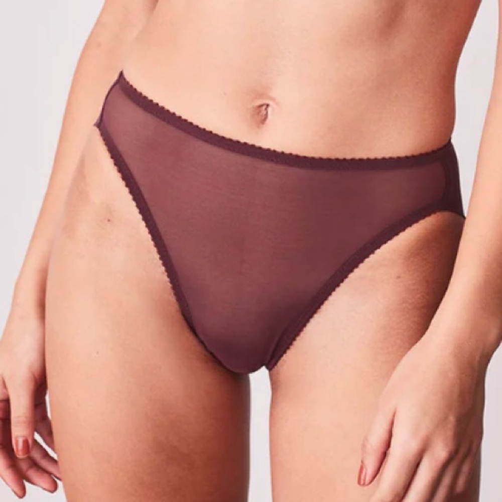 Fortnight Meshie High-Waisted Brief in Burgundy